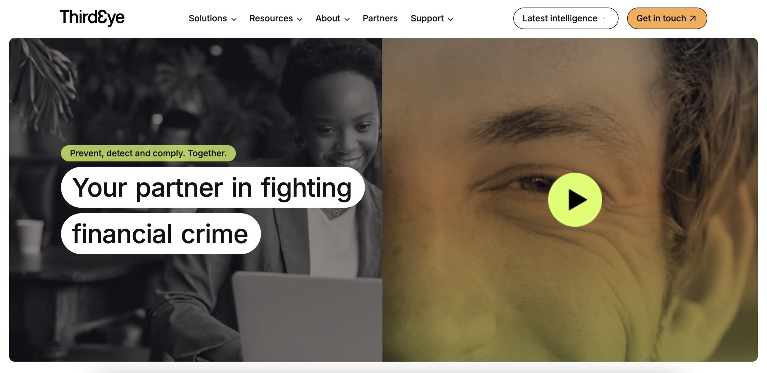 Homepage Screenshot of jade ThirdEye website after brand positioning